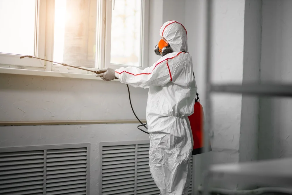 Professional mold remediation services in Freeport, FL